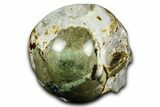 Carved Moss Agate Crystal Skull - India #378696-4